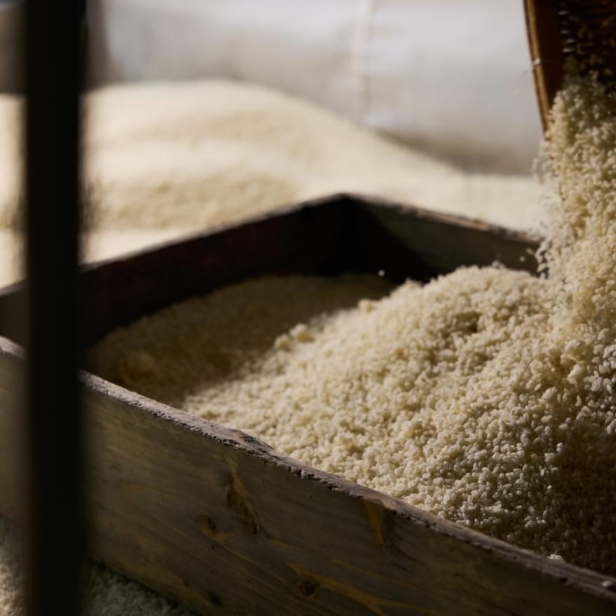 焼酎を造る要、製麹（せいきく）