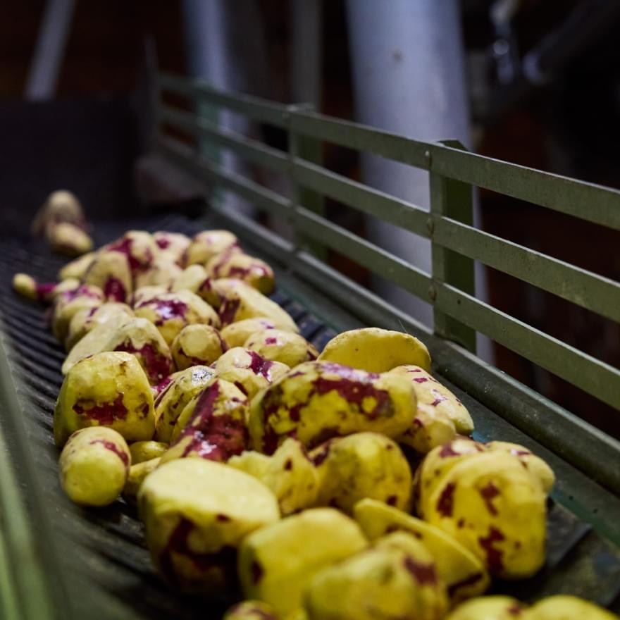 さつまいもへのこだわり