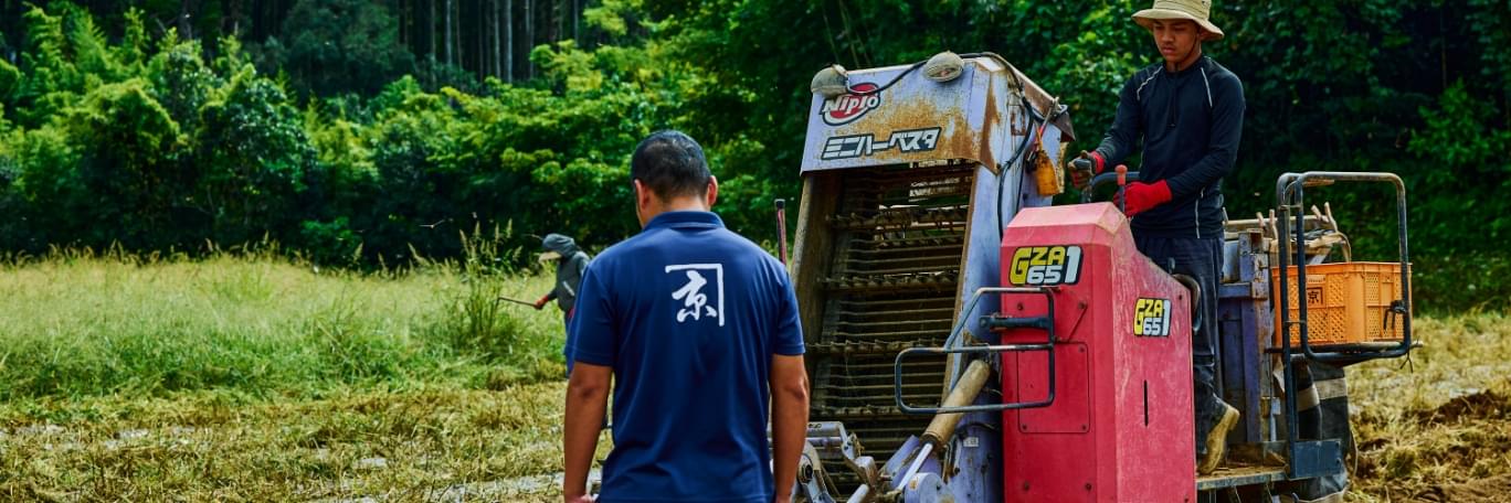 農業生産からの焼酎づくり