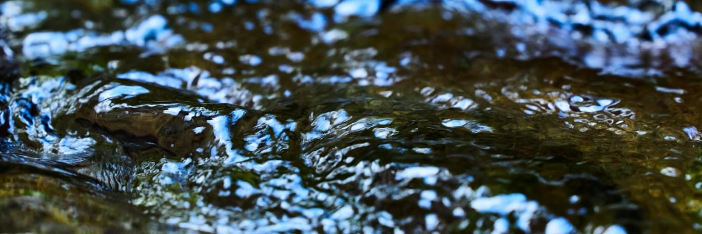里山が育む天然水