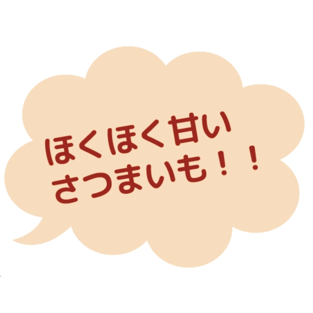 1911 ご馳走おやつ 九州産安納芋80g [021198]