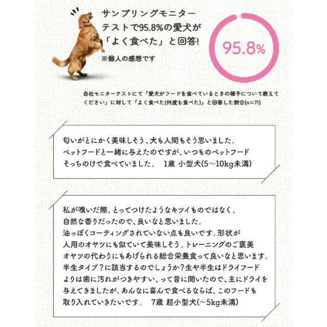 熟成フード高齢犬用500g【023307】