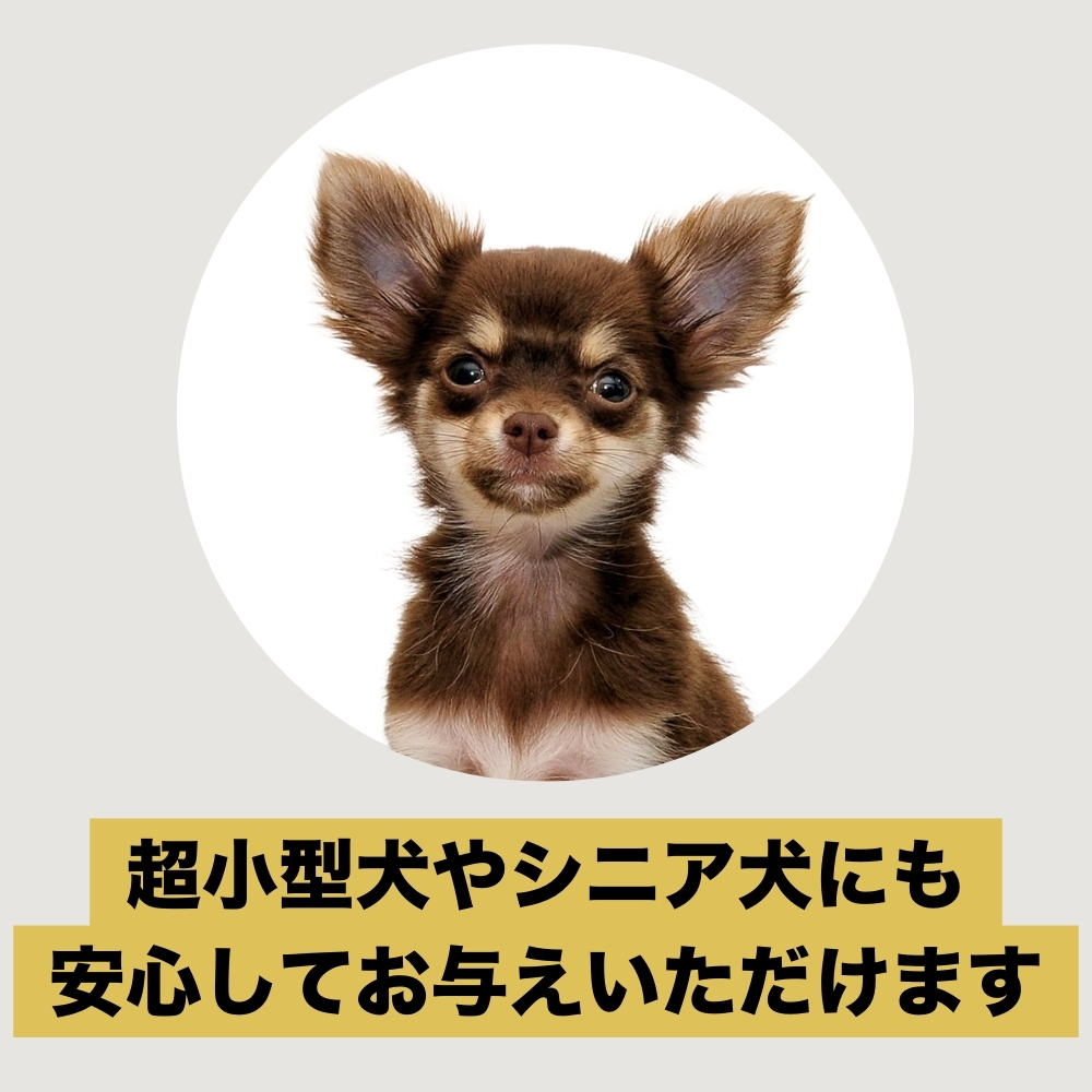 0220 馬の煌厚切り馬肉スライス100g [020467]