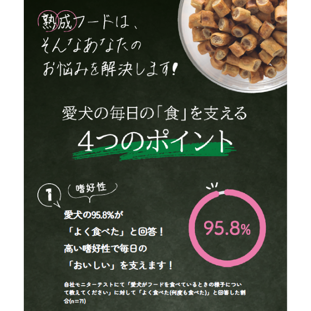 熟成フード高齢犬用500g【023307】