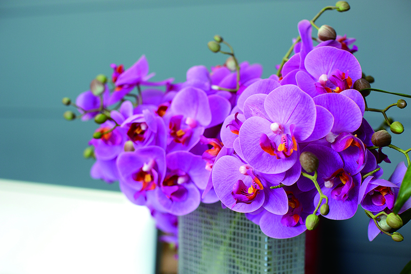 オーキッドの花