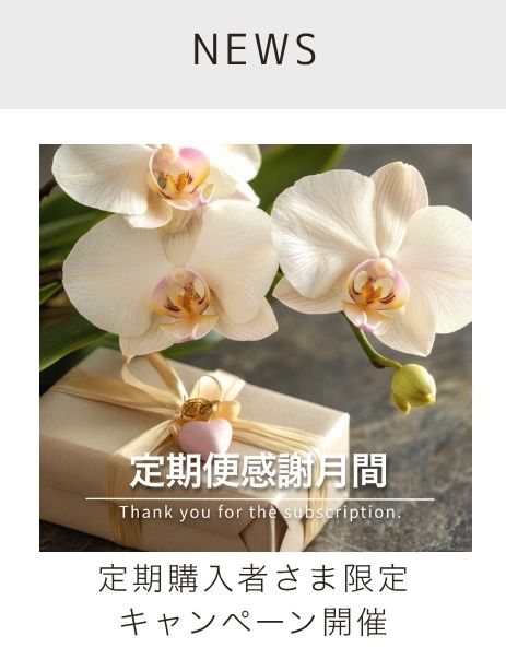 定期購入者限定キャンペーン