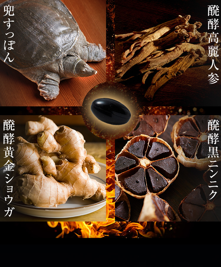 兜すっぽん 発酵高麗人参 発酵黄金ショウガ 発酵黒ニンニク 