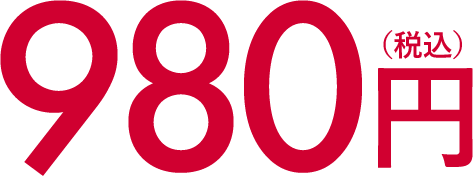 980円（税込）