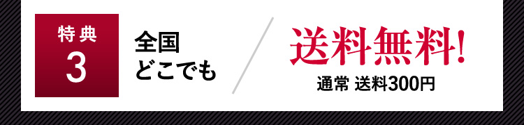 特典3 全国どこでも送料無料！ 通常送料300円