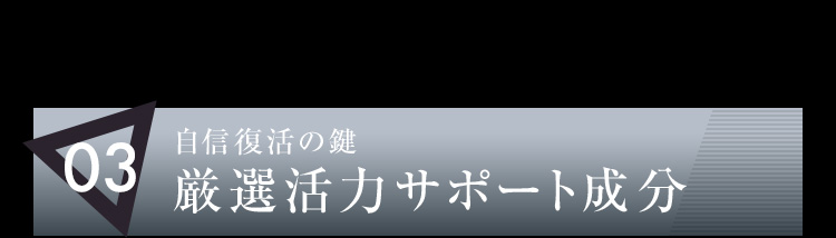 03 自信復活の鍵 厳選活力サポート成分