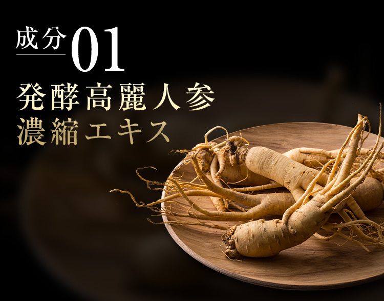 成分01 発酵高麗人参濃縮エキス