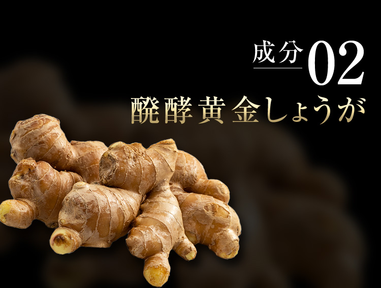 成分02 発酵黄金しょうが