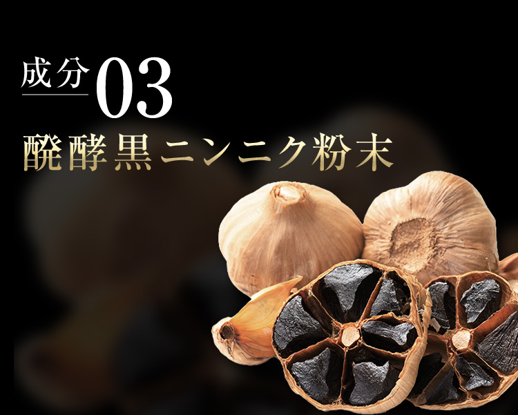 成分03 発酵黒ニンニク粉末