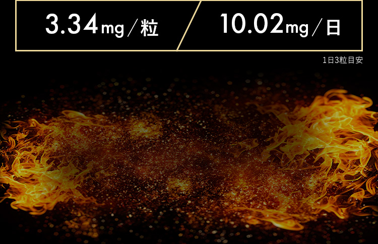 3.34mg／粒 10.02mg／日 1日3粒目安