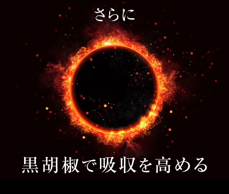 さらに 黒胡椒で吸収を高める