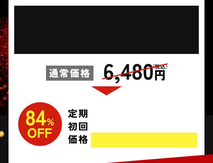 定期初回特別価格