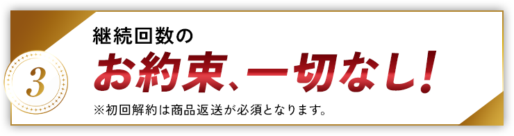 お約束、一切なし