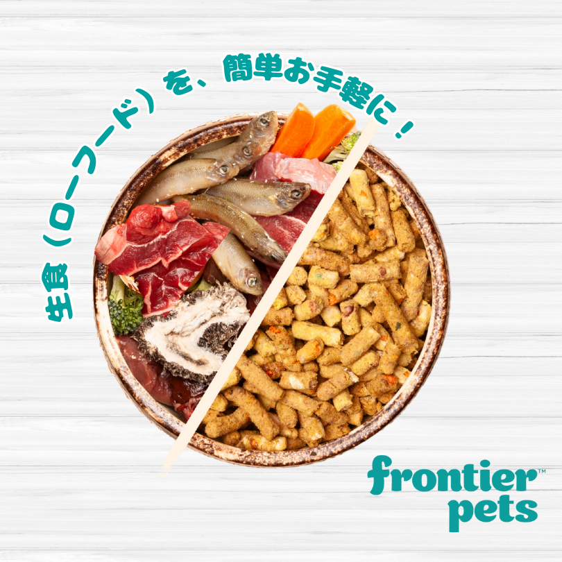 【定期便】犬用 ラム＆天然フィッシュ  300g x 2個