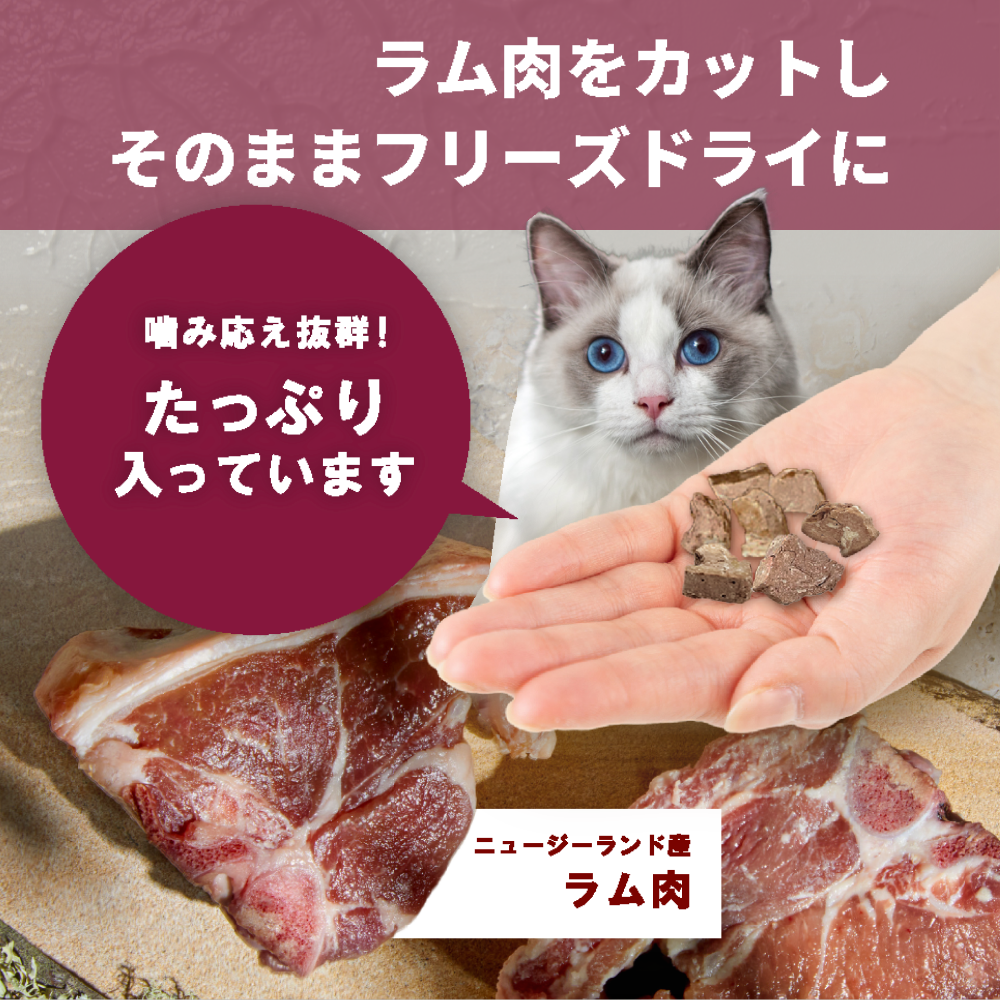 【本気スイッチキャンペーン】お肉セット<br>ビーフ300g＋カンガルー300g