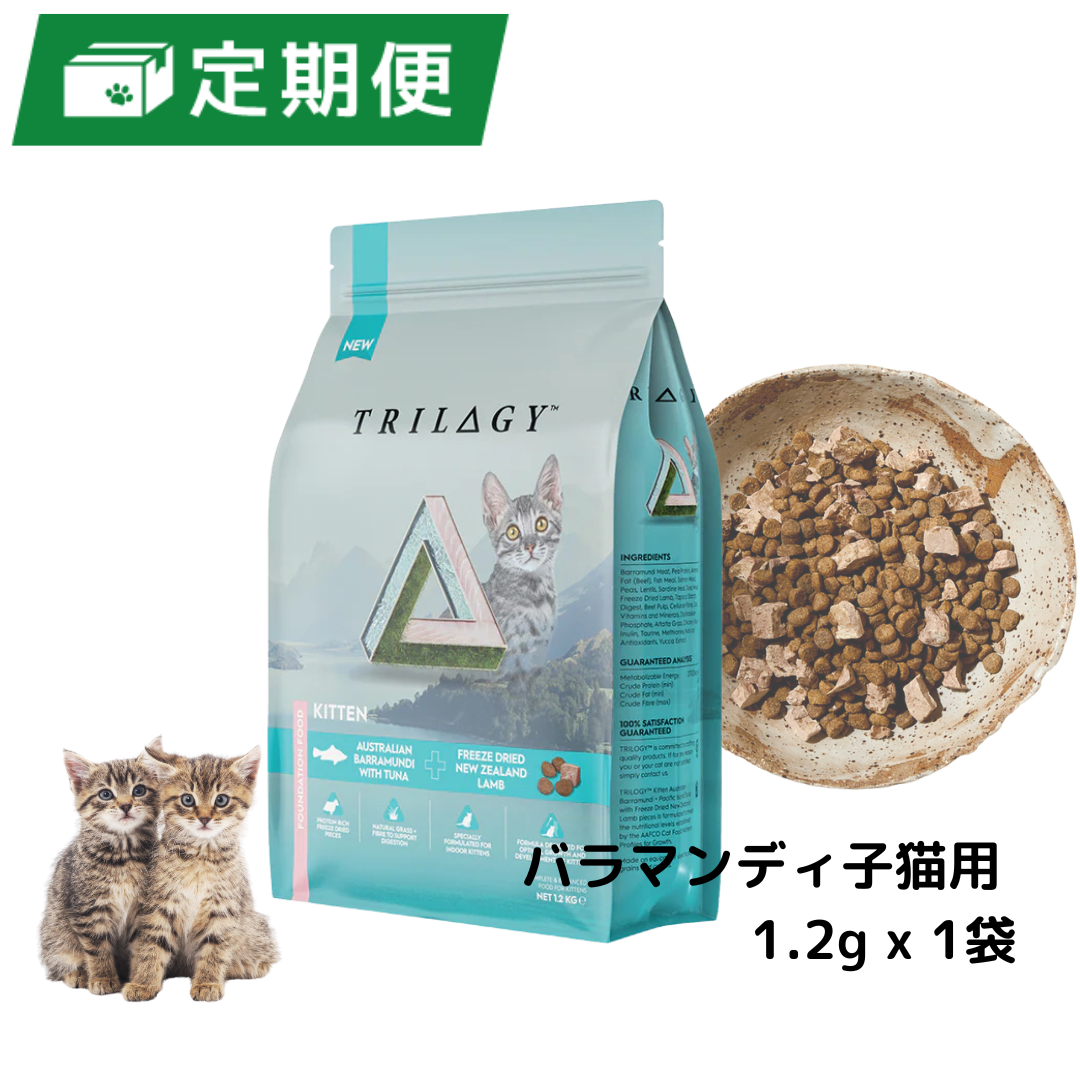 【定期便】バラマンディ＋ラムフリーズドライ  子猫用 1.2kg x 1個