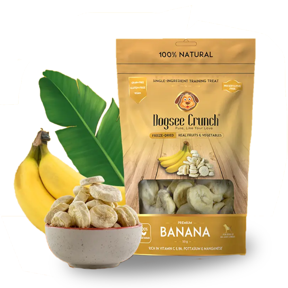 クランチ バナナ 犬用フリーズドライおやつ 15g