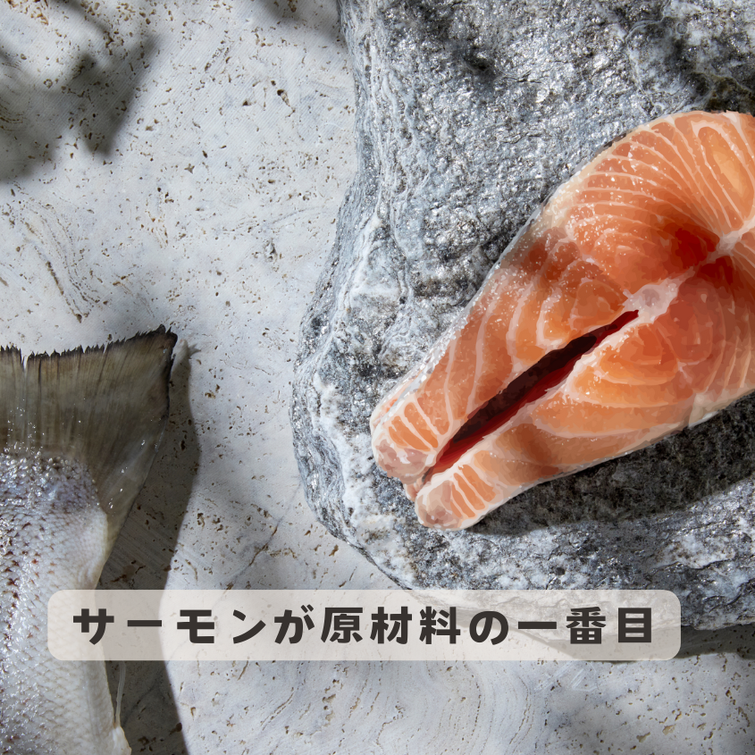 【本気スイッチキャンペーン】<br>サーモン＋ラムフリーズドライ<br>1才以上用 800g