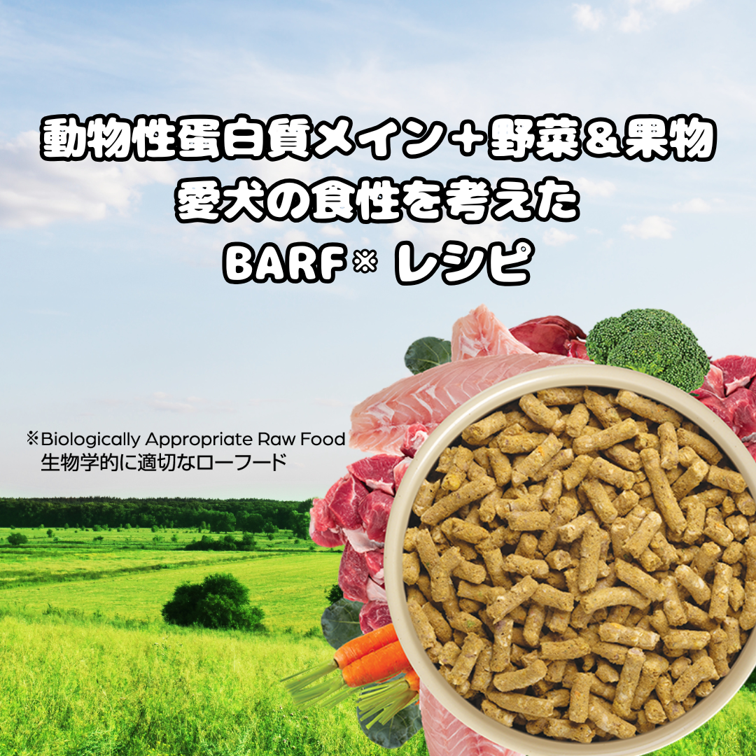 【定期便】犬用 ラム＆天然フィッシュ  300g x 2個