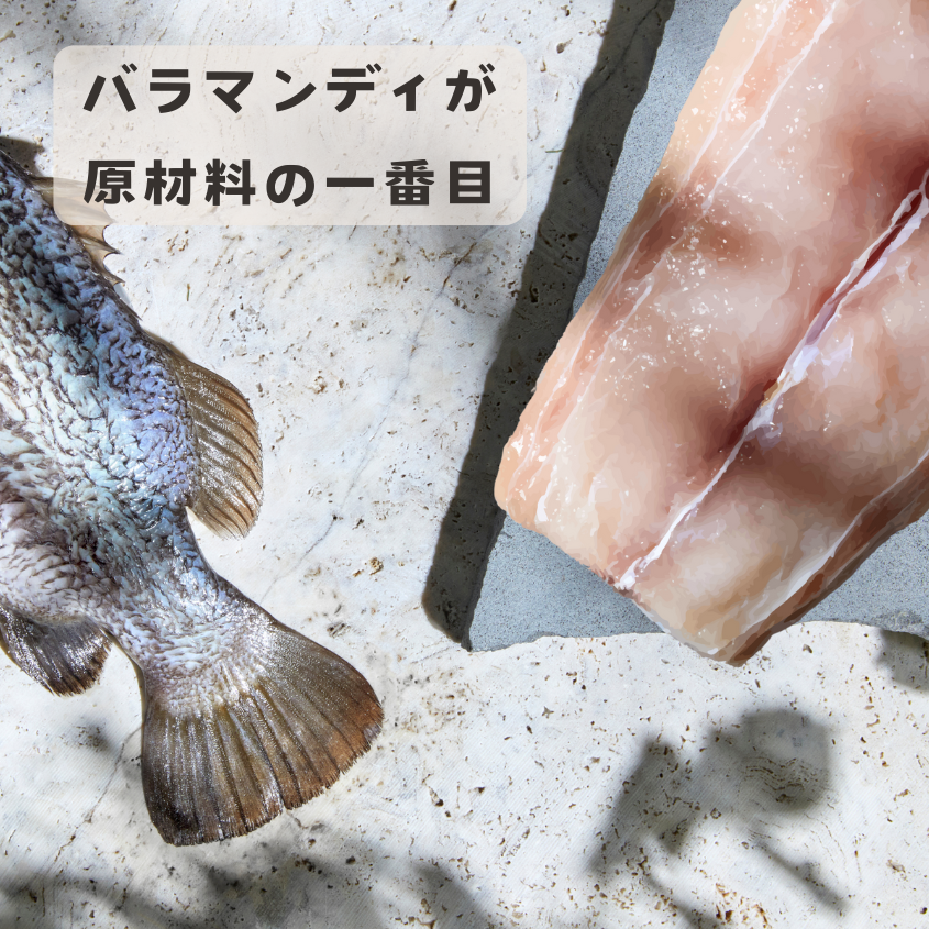 【本気スイッチキャンペーン】<br>バラマンディ＋ラムフリーズドライ<br> 1才以上用 800g