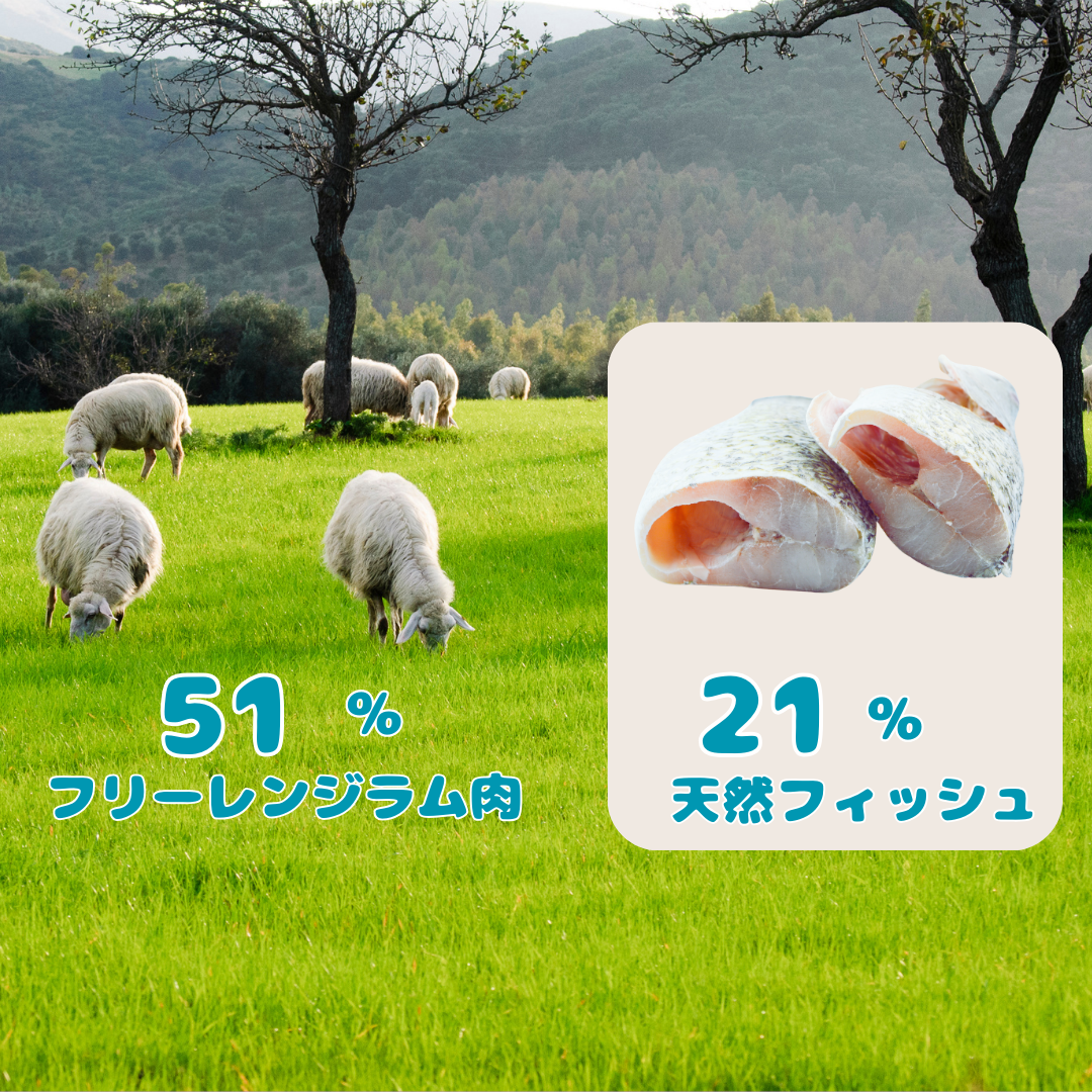犬用 ラム＆天然フィッシュ  300g