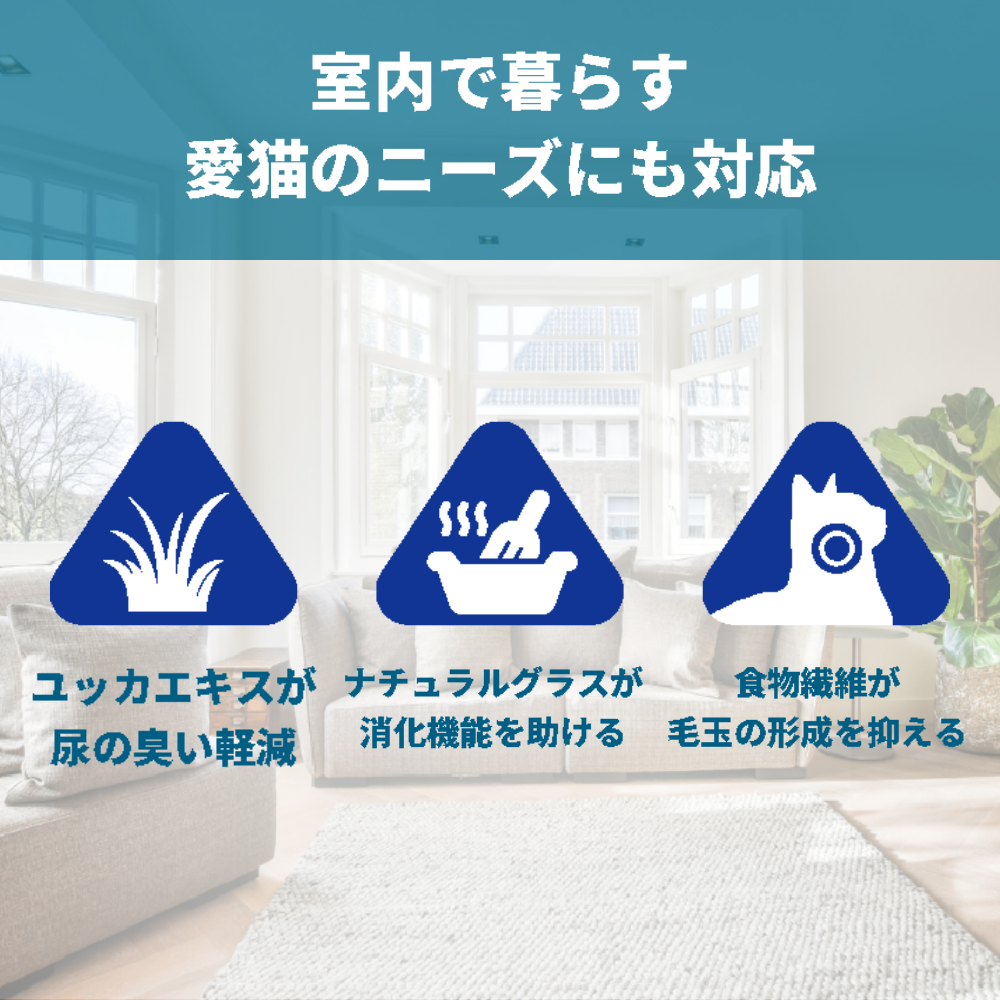 【本気スイッチキャンペーン】お魚セット<br>サーモン300g＋バラマンディ(白身魚)300g