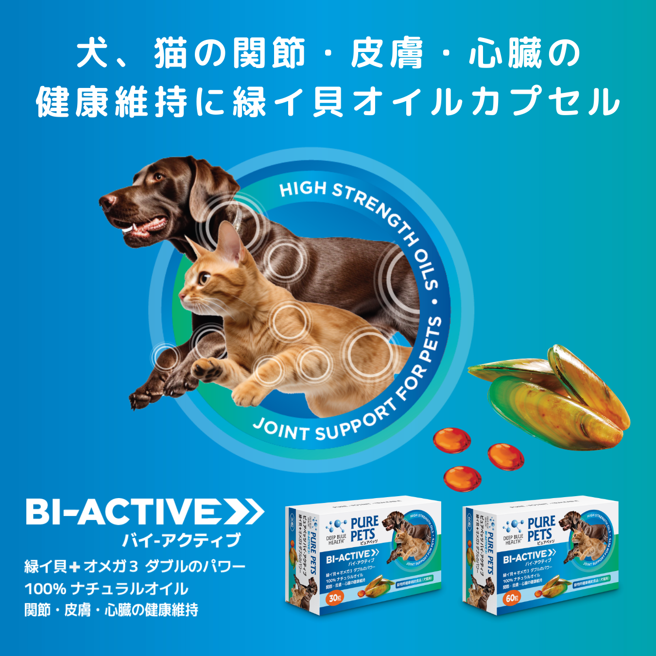 【お試し価格】緑イ貝+オメガ3 バイ-アクティブ ダブルのパワー 犬猫用 サプリメント 120粒(60粒x2)