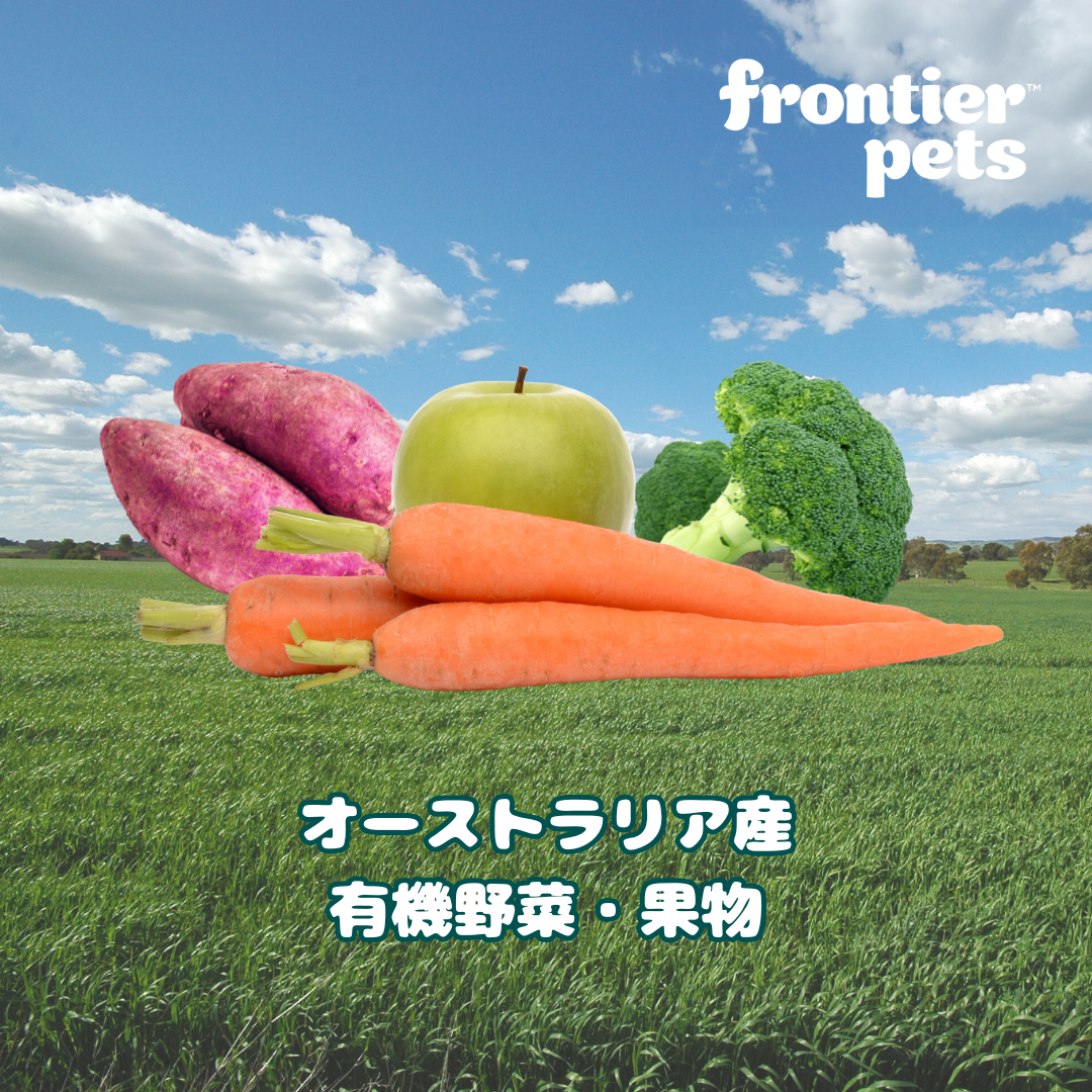 犬用 ラム＆天然フィッシュ  300g