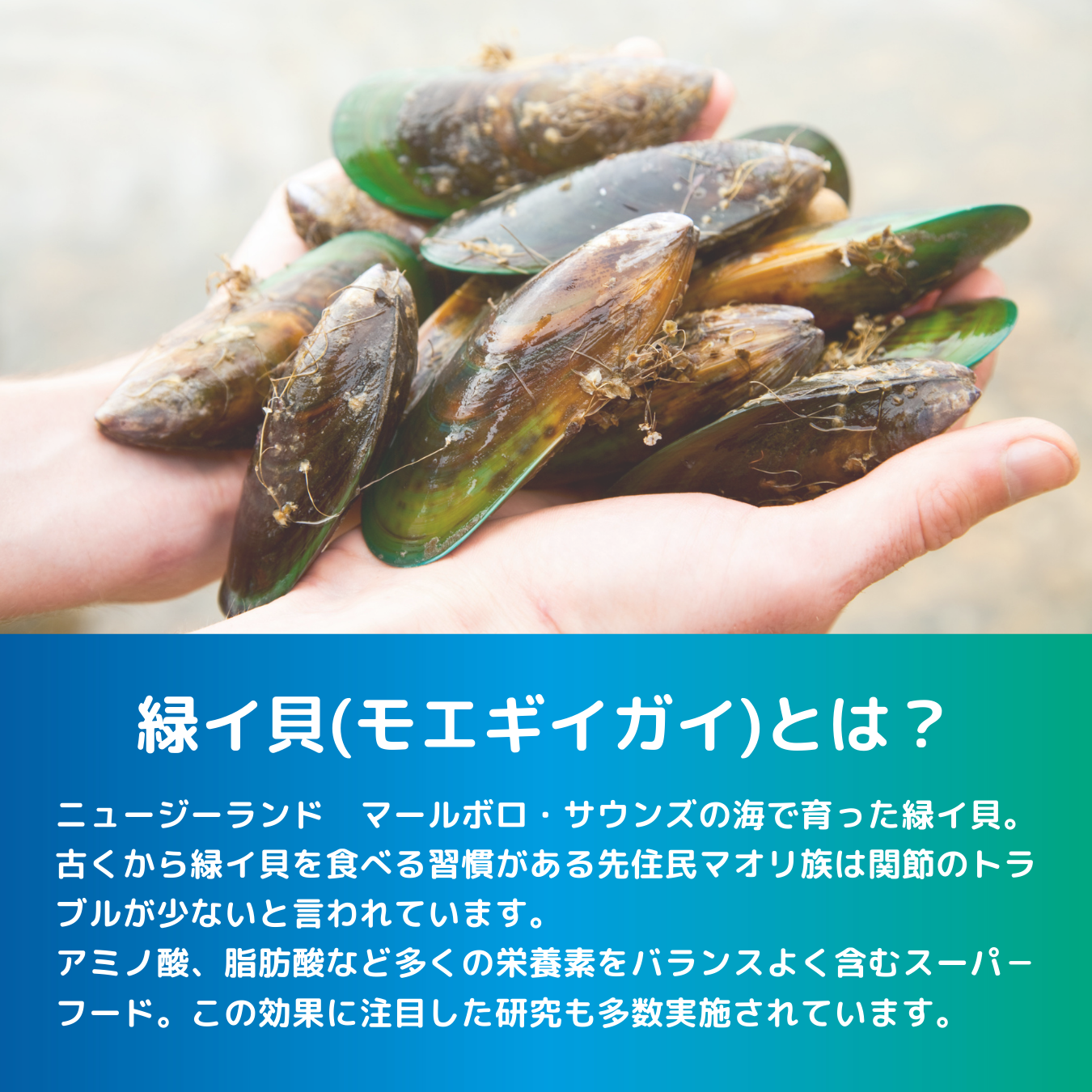 【お試し価格】緑イ貝+オメガ3 バイ-アクティブ ダブルのパワー 犬猫用 サプリメント 120粒(60粒x2)