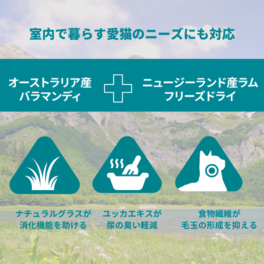 【本気スイッチキャンペーン】<br>バラマンディ＋ラムフリーズドライ<br> 1才以上用 800g