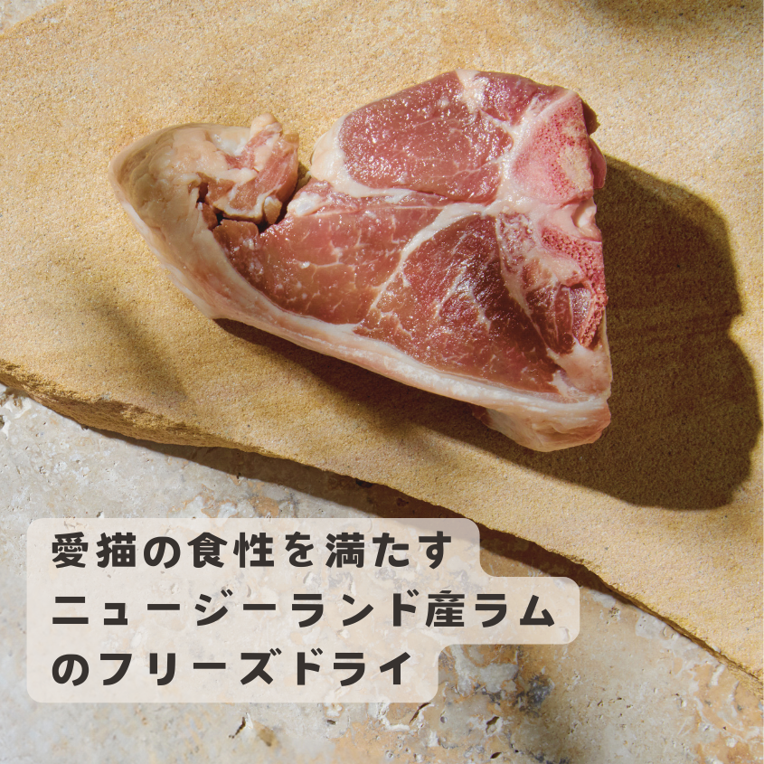 【本気スイッチキャンペーン】<br>ビーフ＋ラムフリーズドライ<br>1才以上用 800g