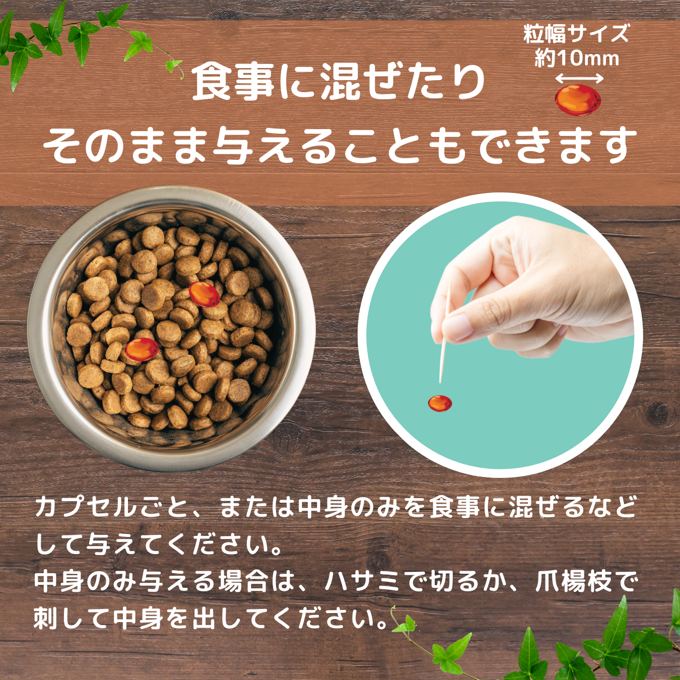 【お試し価格】緑イ貝+オメガ3 バイ-アクティブ ダブルのパワー 犬猫用 サプリメント 120粒(60粒x2)