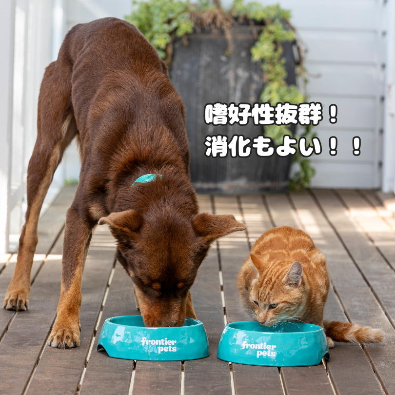 【定期便】犬用 ラム＆天然フィッシュ  300g x 2個
