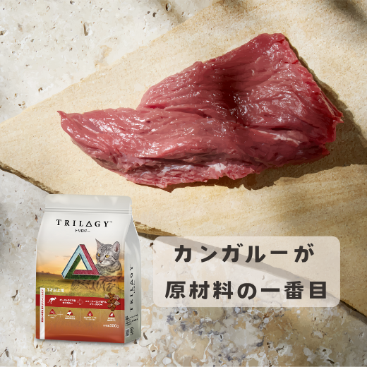 【本気スイッチキャンペーン】お肉セット<br>ビーフ300g＋カンガルー300g
