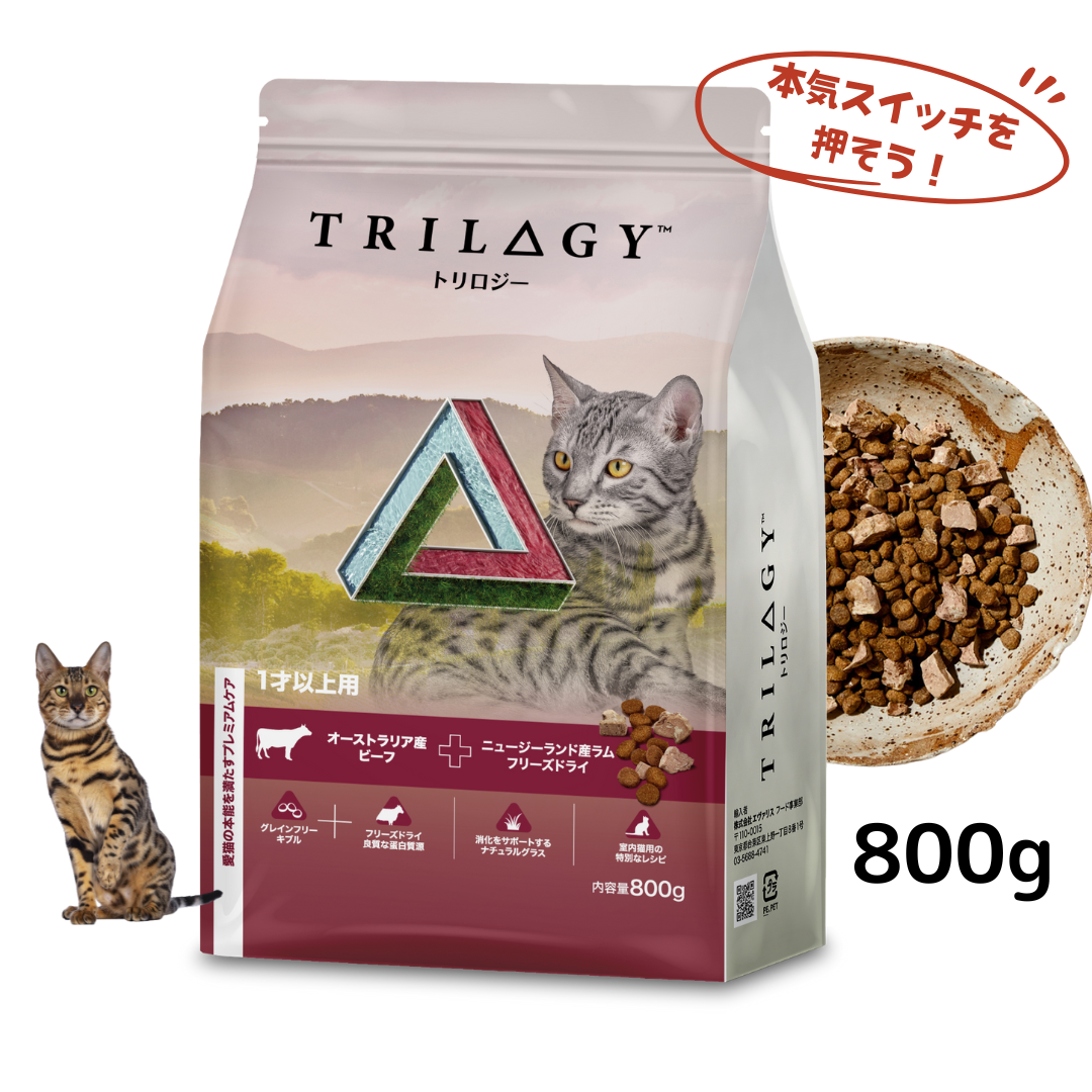 【本気スイッチキャンペーン】<br>ビーフ＋ラムフリーズドライ<br>1才以上用 800g