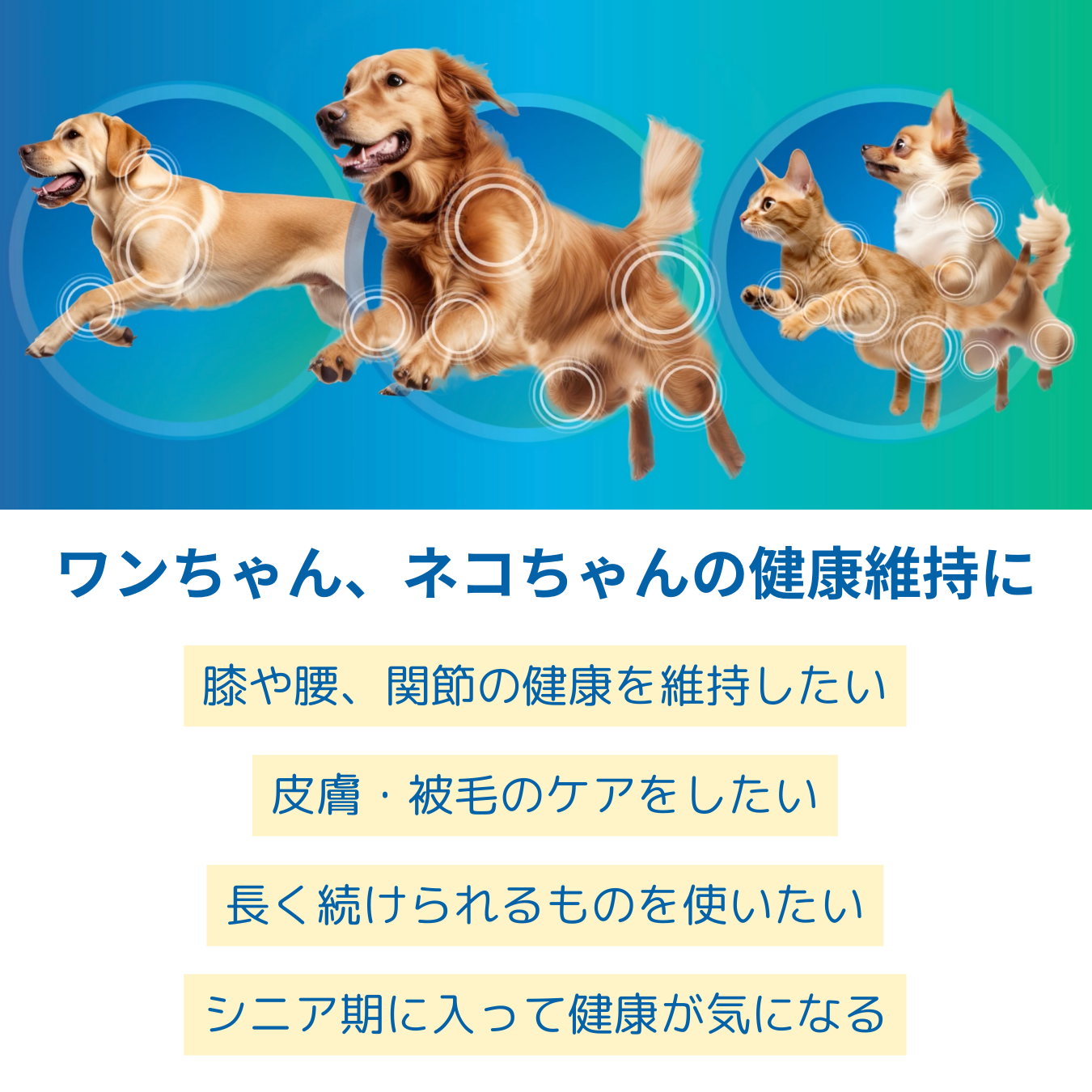 【お試し価格】緑イ貝+オメガ3 バイ-アクティブ ダブルのパワー 犬猫用 サプリメント 180粒(60粒x3)