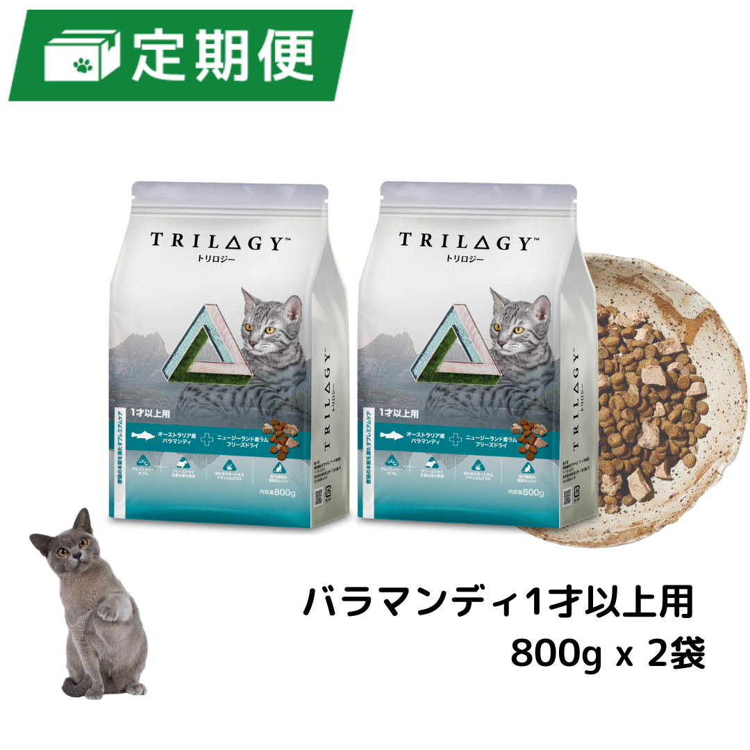 【定期便】バラマンディ+ラムフリーズドライ 1才以上用 800g x 2個