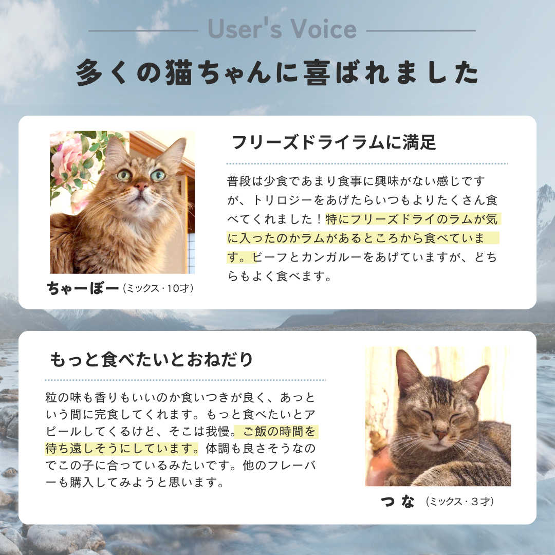 【本気スイッチキャンペーン】<br>サーモン＋ラムフリーズドライ<br>1才以上用 800g