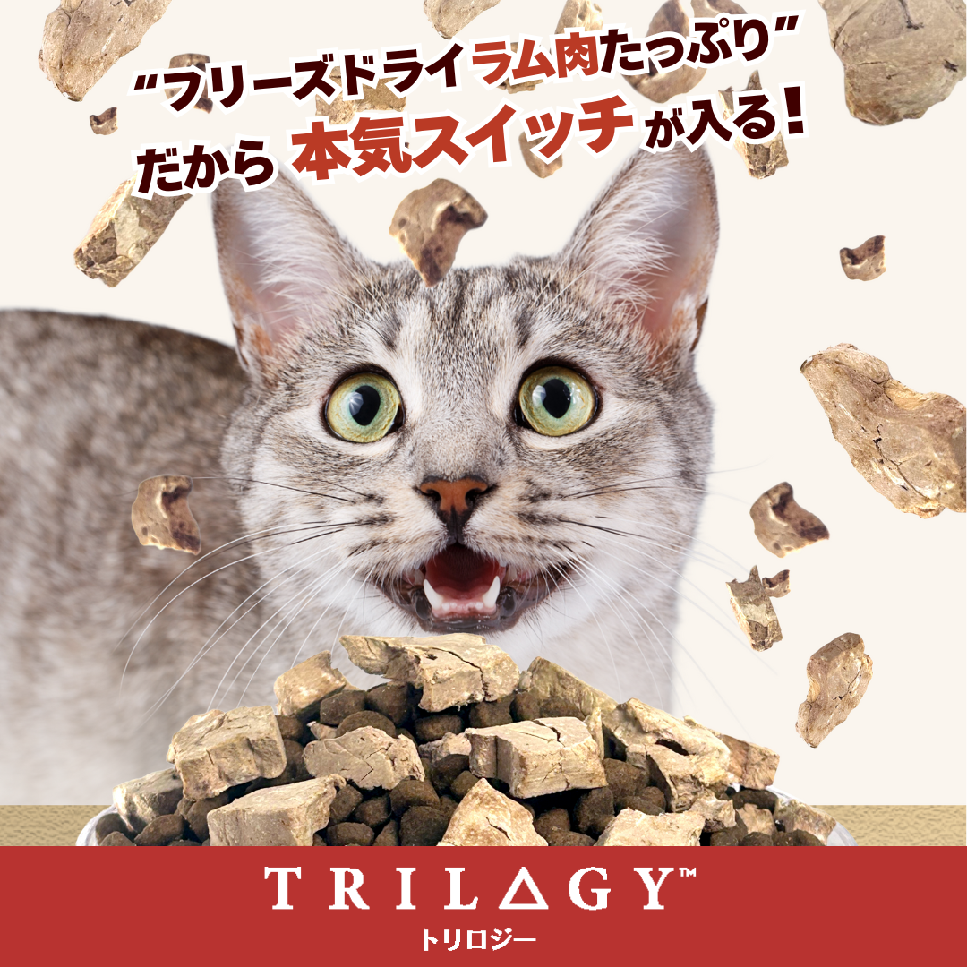 【本気スイッチキャンペーン】<br>カンガルー＋ラムフリーズドライ <br>1才以上用 800g