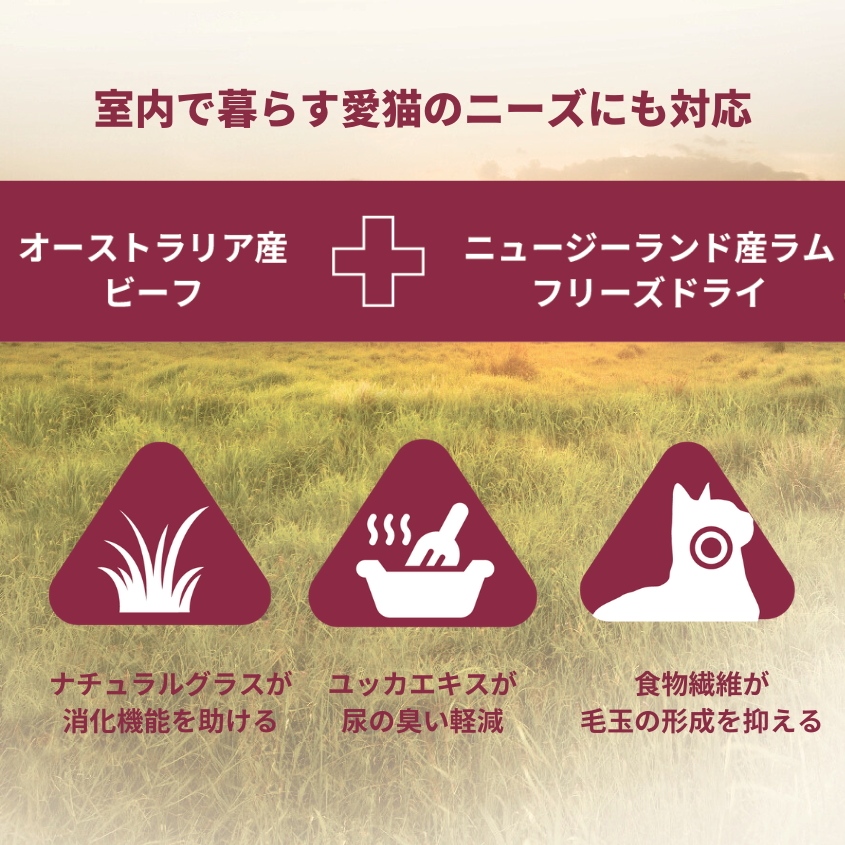 【本気スイッチキャンペーン】<br>ビーフ＋ラムフリーズドライ<br>1才以上用 800g