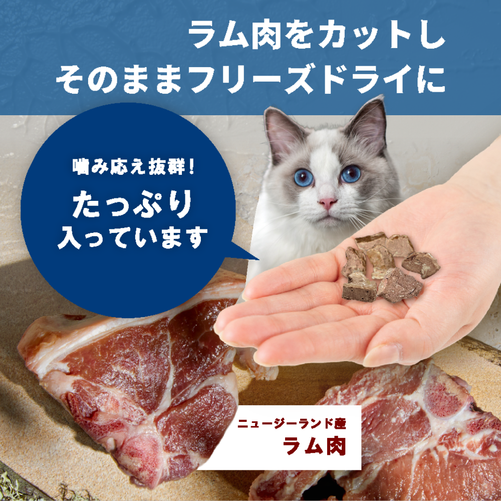 【本気スイッチキャンペーン】お魚セット<br>サーモン300g＋バラマンディ(白身魚)300g