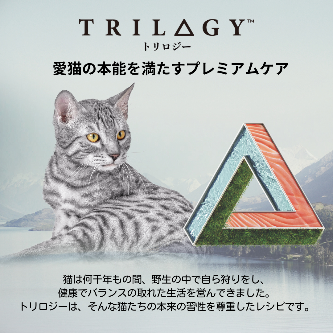 【本気スイッチキャンペーン】<br>サーモン＋ラムフリーズドライ<br>1才以上用 800g