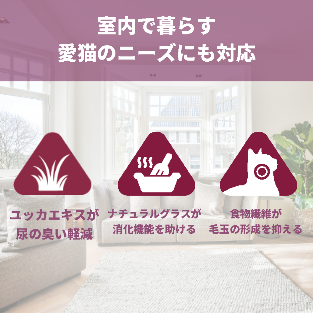 【本気スイッチキャンペーン】お肉セット<br>ビーフ300g＋カンガルー300g