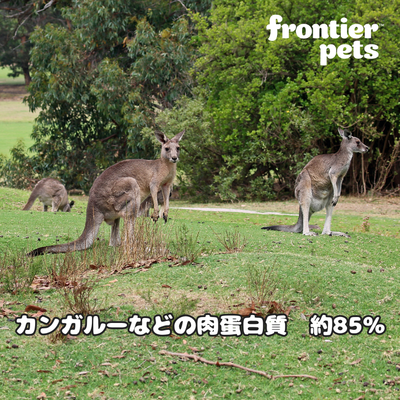 犬用カンガルー 300g