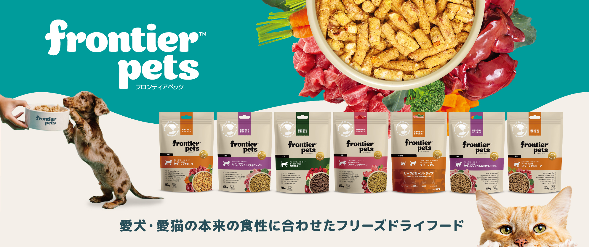 フロンティアトップ画面