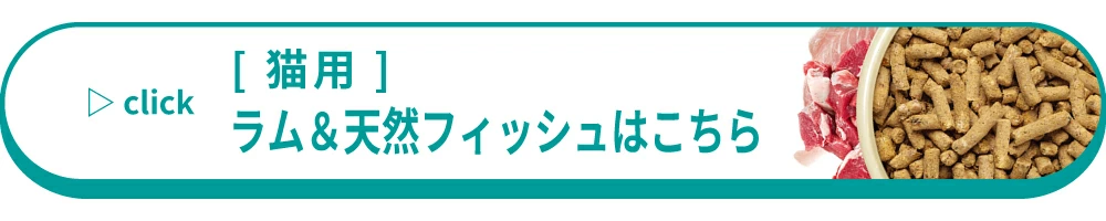 ラムアンドフィッシュ
